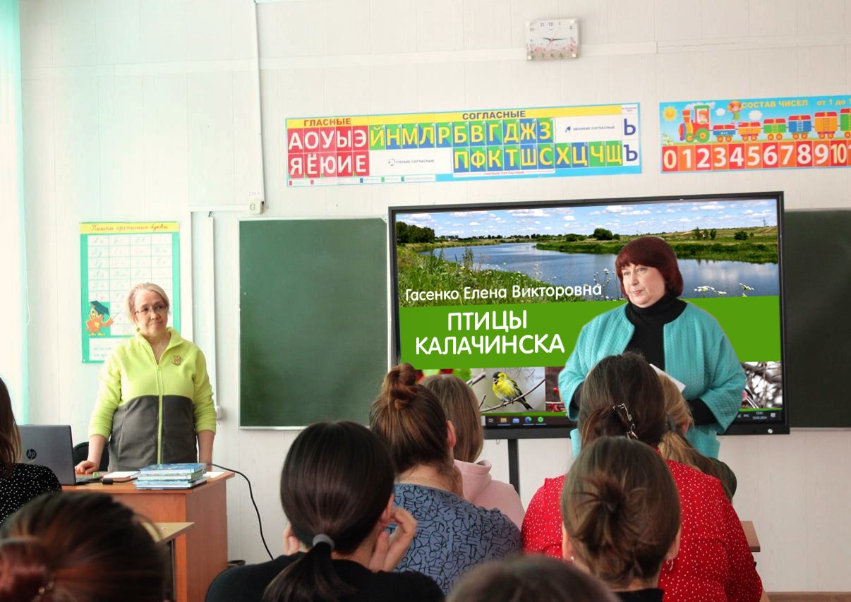 Птицы малой родины Птицы малой родины